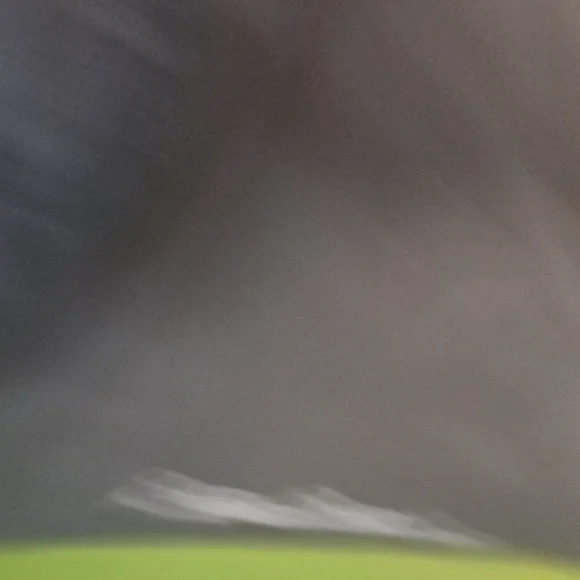 Eddie Bauer Green and Gray Quilted Puffer Vest - Picture 3 of 8